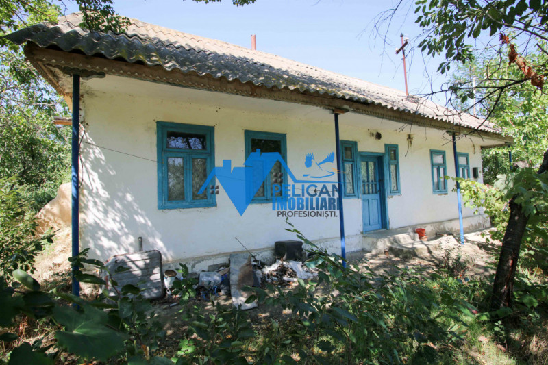 Casa cu teren in Victoria (Nufaru) - 1400mp