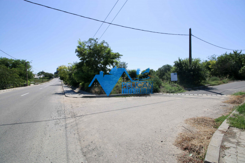 Casa cu teren in Victoria (Nufaru) - 1400mp