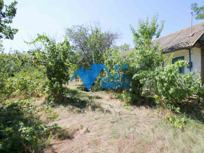 Casa cu teren in Victoria (Nufaru) - 1400mp