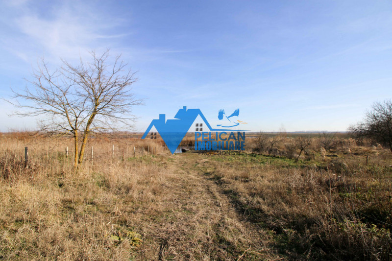 Casa cu teren in Dunavatu De Sus - 2400mp