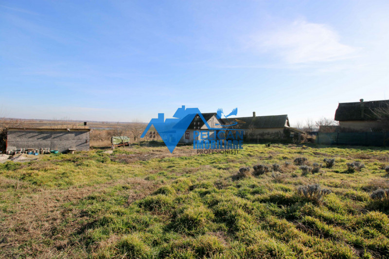 Casa cu teren in Dunavatu De Sus - 2400mp