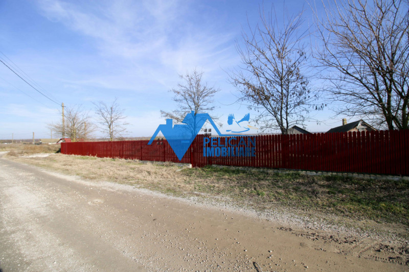 Casa cu teren in Dunavatu De Sus - 2400mp