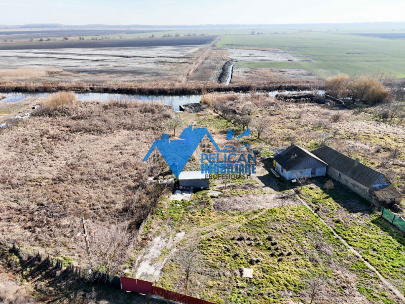 Casa cu teren in Dunavatu De Sus - 2400mp