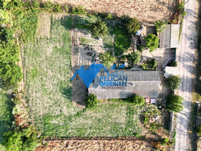 Casa cu teren in Salcioara (Jurilovca) - 2600mp