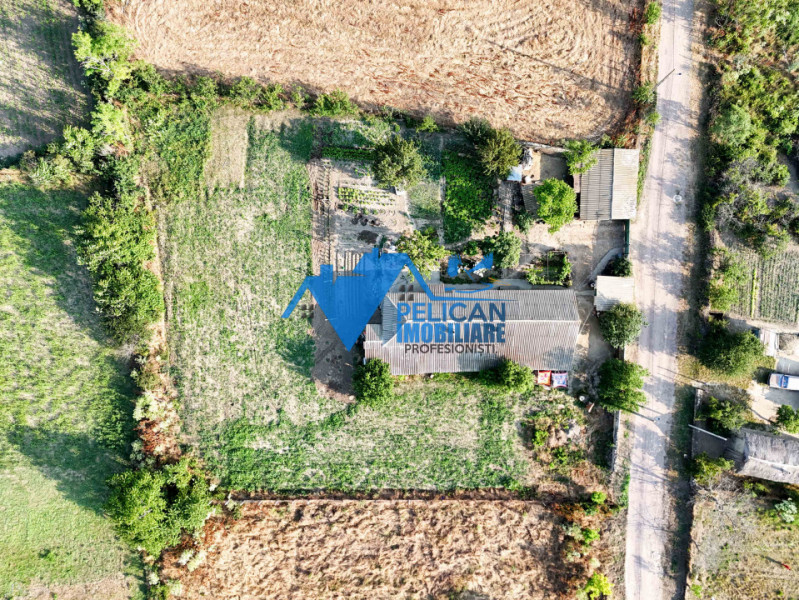 Casa cu teren in Salcioara (Jurilovca) - 2600mp