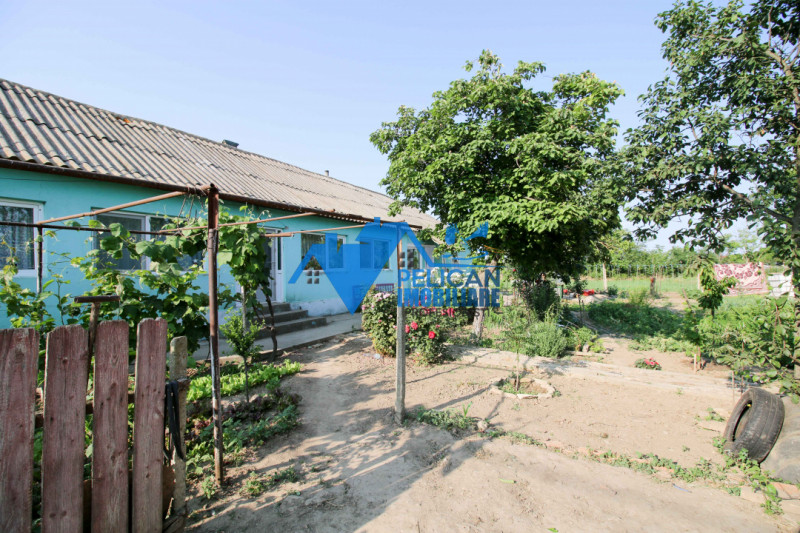 Casa cu teren in Salcioara (Jurilovca) - 2600mp