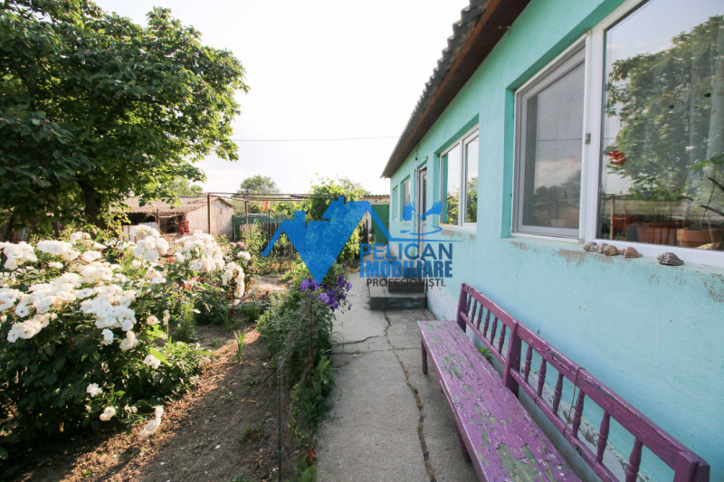 Casa cu teren in Salcioara (Jurilovca) - 2600mp