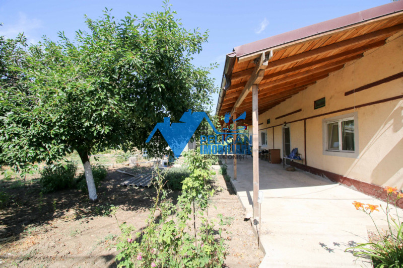 Casa cu teren in Cataloi - 2500mp