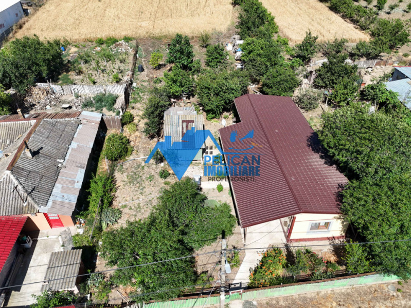 Casa cu teren in Cataloi - 2500mp