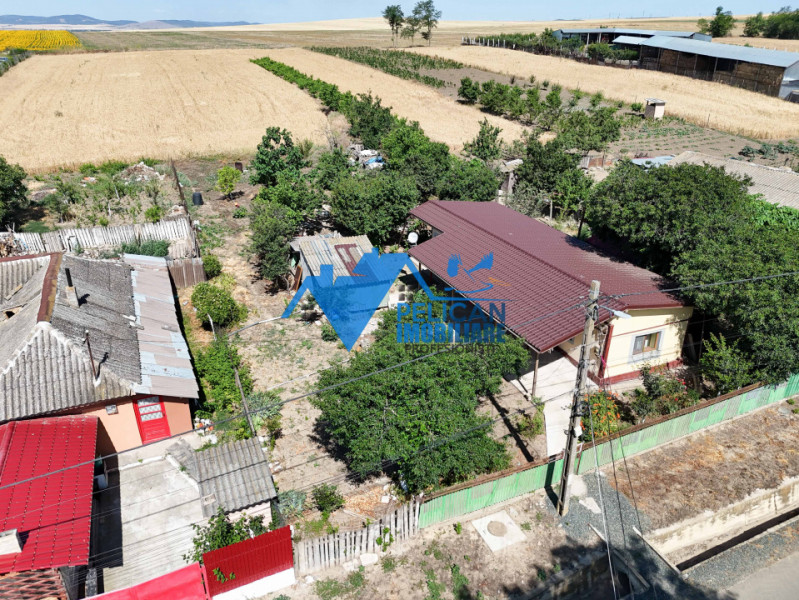 Casa cu teren in Cataloi - 2500mp
