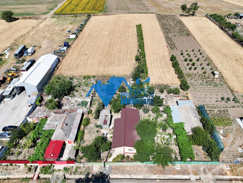 Casa cu teren in Cataloi - 2500mp