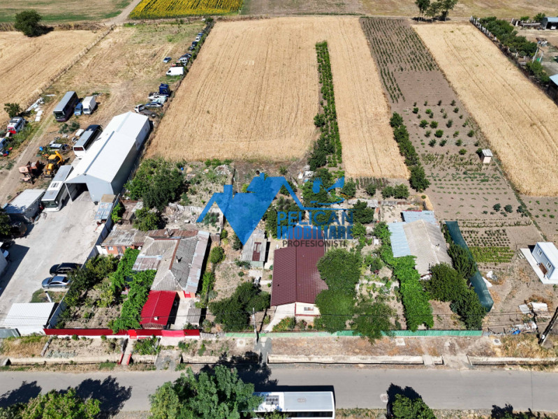 Casa cu teren in Cataloi - 2500mp