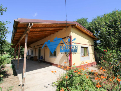 Casa cu teren in Cataloi - 2500mp