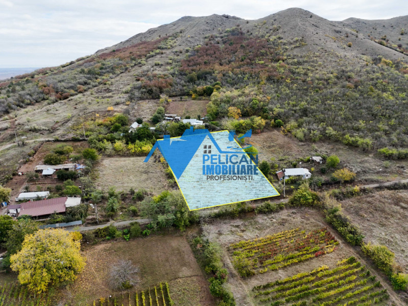 Teren intravilan NICULITEL, zona deosebita, 3044MP