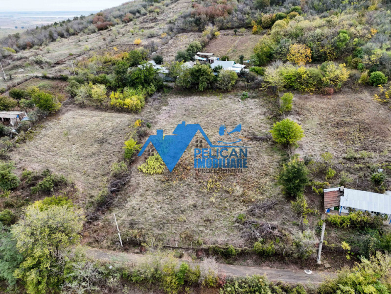 Teren intravilan NICULITEL, zona deosebita, 3044MP