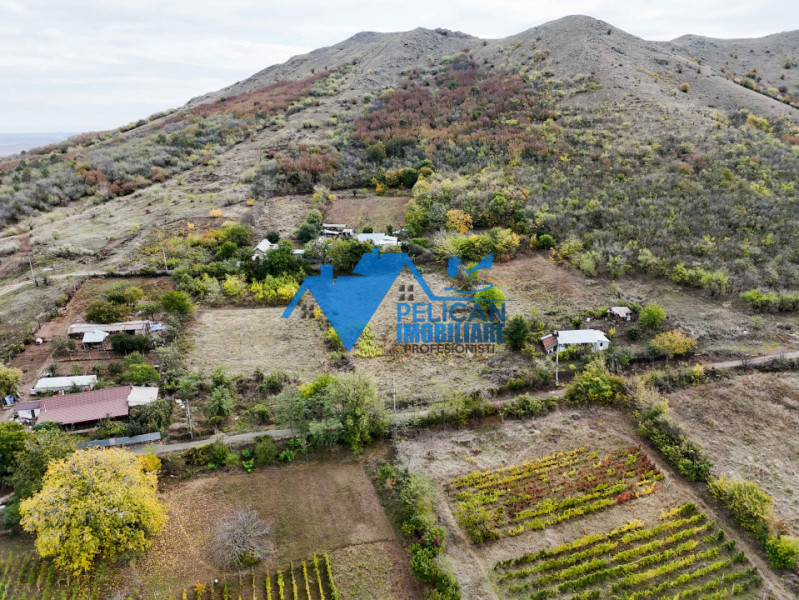 Teren intravilan NICULITEL, zona deosebita, 3044MP