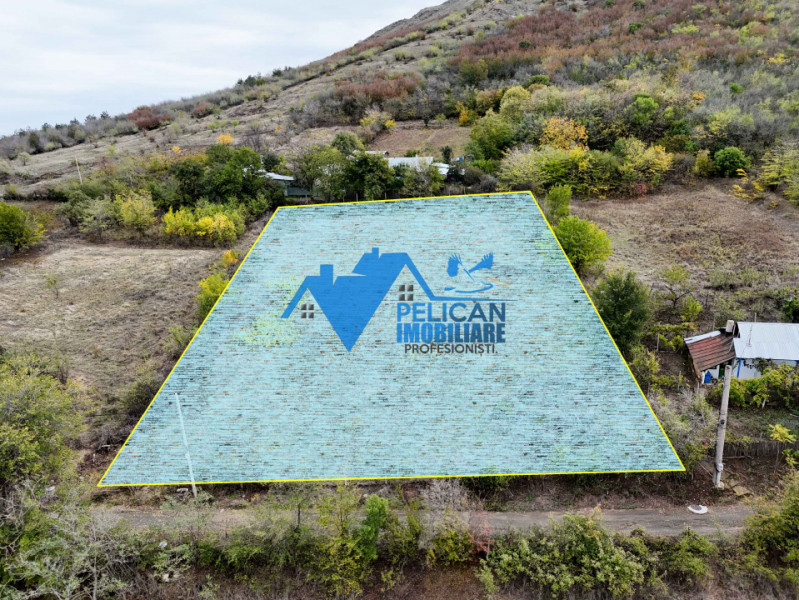 Teren intravilan NICULITEL, zona deosebita, 3044MP