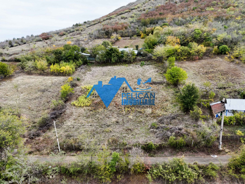 Teren intravilan NICULITEL, zona deosebita, 3044MP