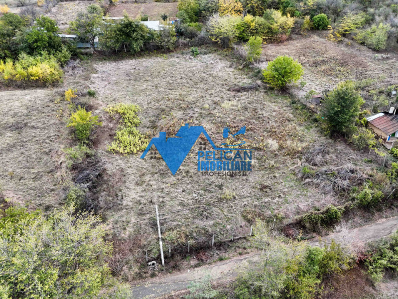 Teren intravilan NICULITEL, zona deosebita, 3044MP