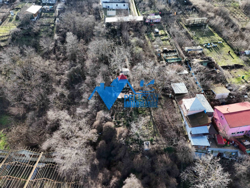 Teren intravilan BIDIDIA, zona deosebita, 550MP