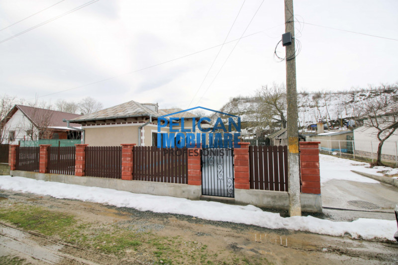 Casa, Zona Centrala, Nufarul