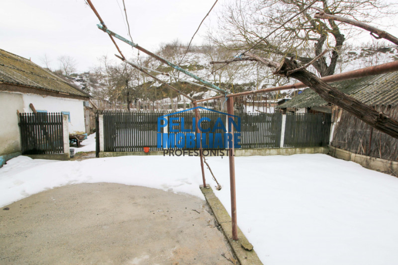 Casa, Zona Centrala, Nufarul