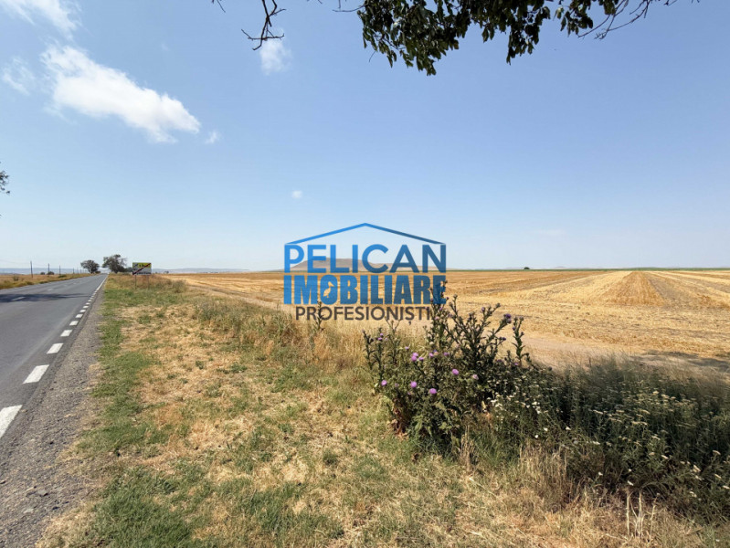 Teren intravilan M. Kogalniceanu, 1000MP, la drumul national