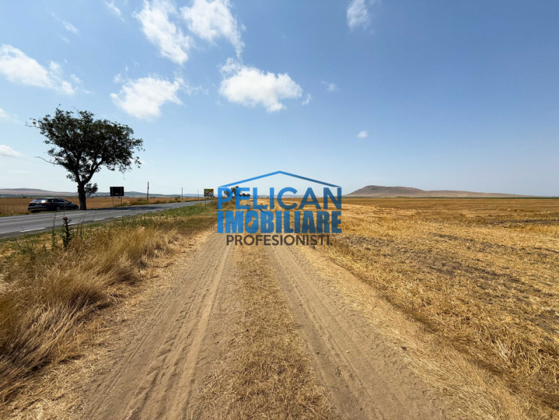 Teren intravilan M. Kogalniceanu, 1000MP, la drumul national