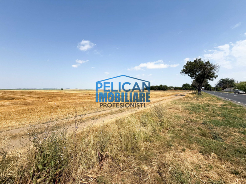 Teren intravilan M. Kogalniceanu, 1000MP, la drumul national