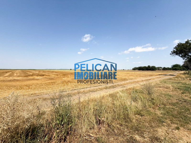 Teren intravilan M. Kogalniceanu, 1000MP, la drumul national