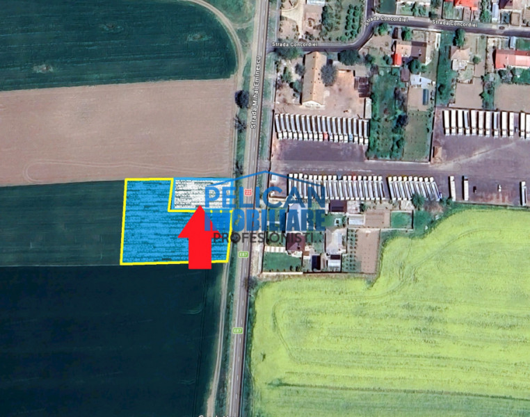 Teren intravilan M. Kogalniceanu, 1000MP, la drumul national