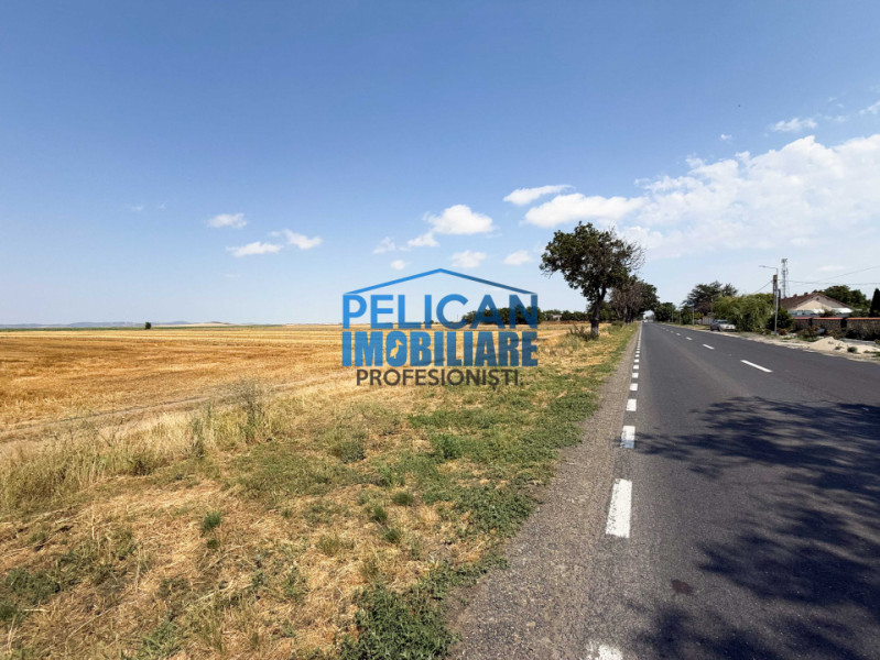 Teren intravilan M. Kogalniceanu, 4000MP, la drumul national