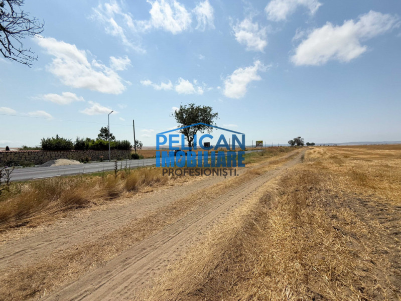 Teren intravilan M. Kogalniceanu, 4000MP, la drumul national