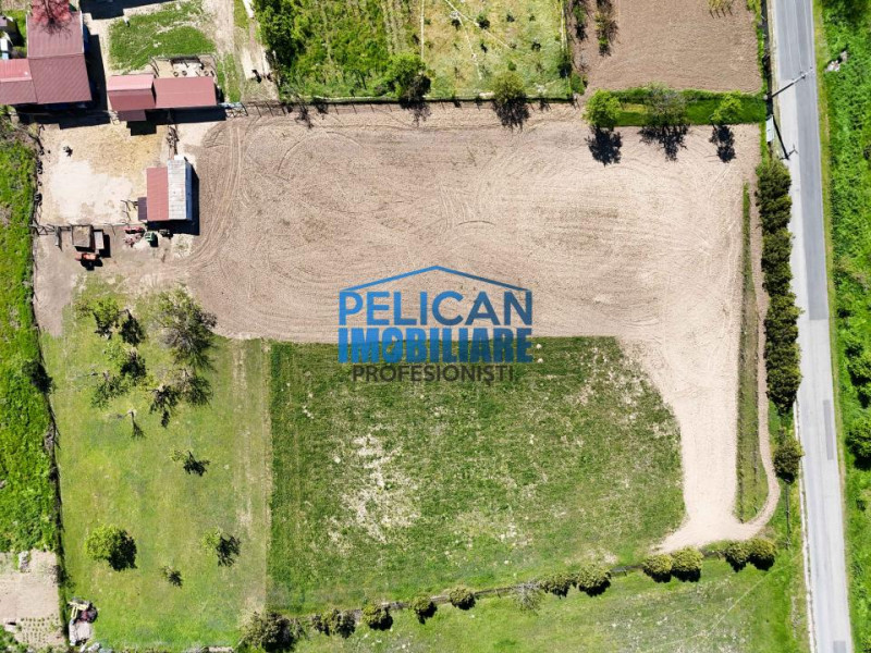 Teren intravilan SOMOVA, zonă deosebită, 5548MP