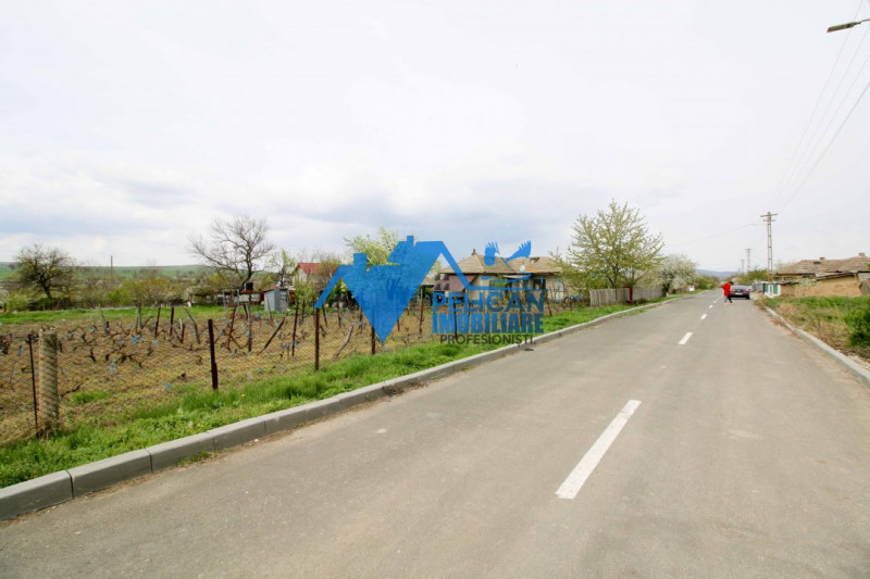 Casa si teren in Nalbant - intravilan - 2267mp
