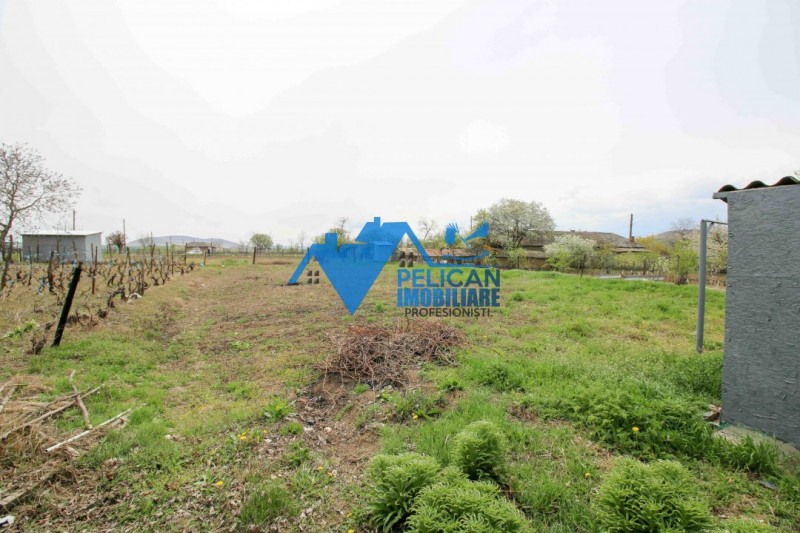 Casa si teren in Nalbant - intravilan - 2267mp
