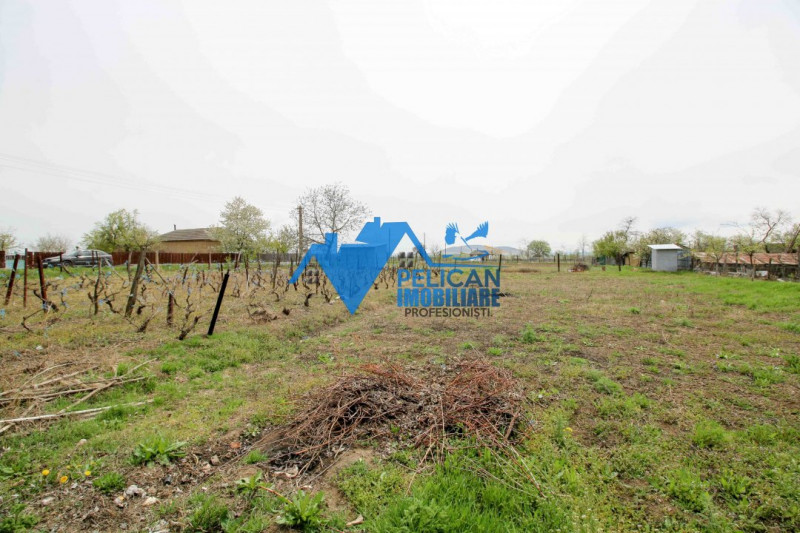 Casa si teren in Nalbant - intravilan - 2267mp