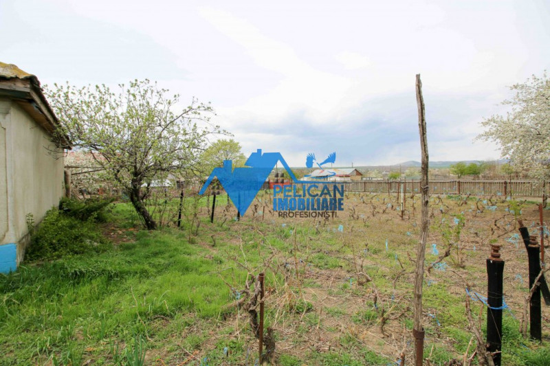 Casa si teren in Nalbant - intravilan - 2267mp