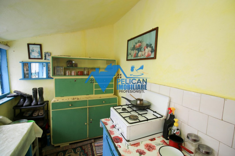 Casa si teren in Nalbant - intravilan - 2267mp